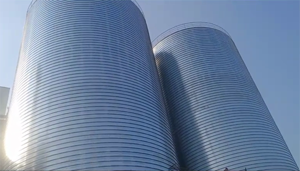 镇远2座混凝土高架卷板仓